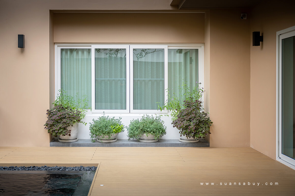 Swimming Pool Garden